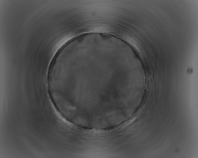 X0000091241087200708231712
