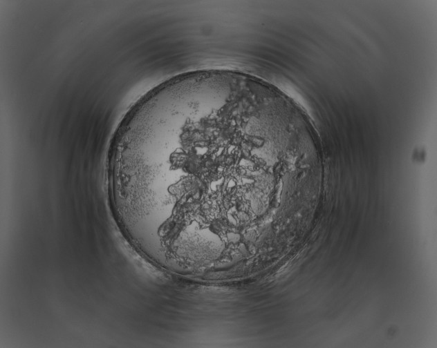 X0000091241088200708231712