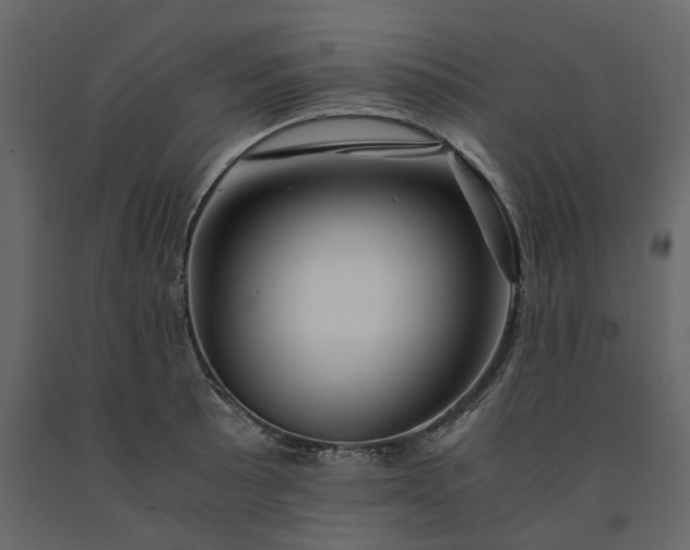 X0000091241089200708231712