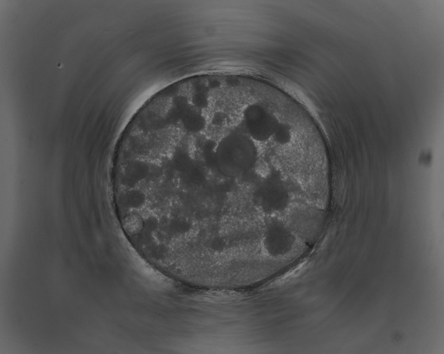 X0000091241091200708231712