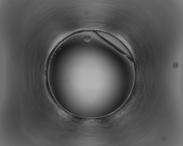 X0000091241093200708231711