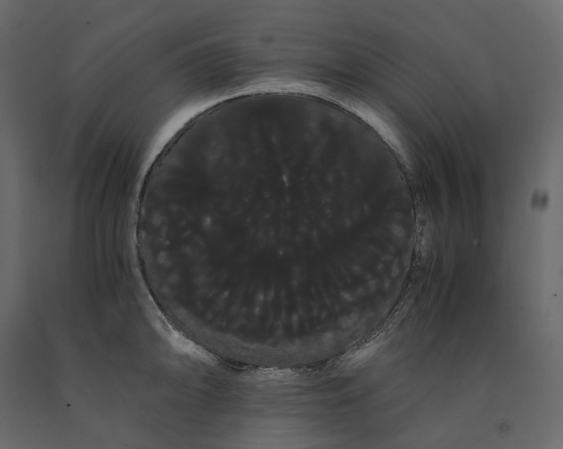 X0000091241094200708231711