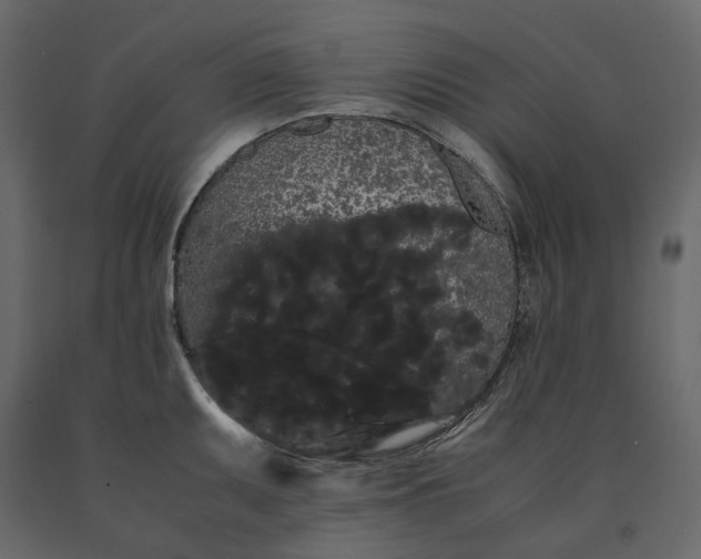 X0000091241095200708231711