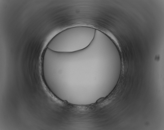 X0000091241096200708231711