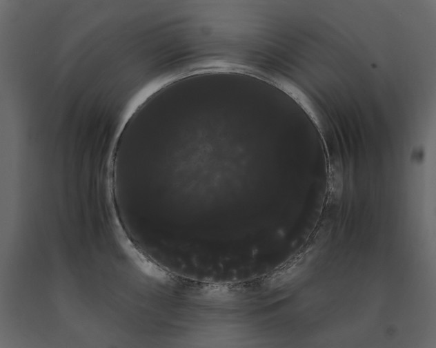X0000091241098200708231711