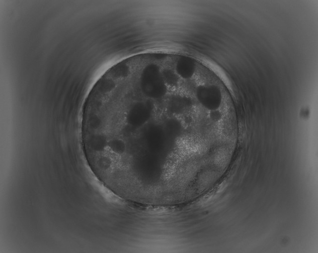 X0000091241099200708231711