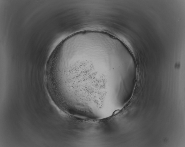 X0000091241103200708231711