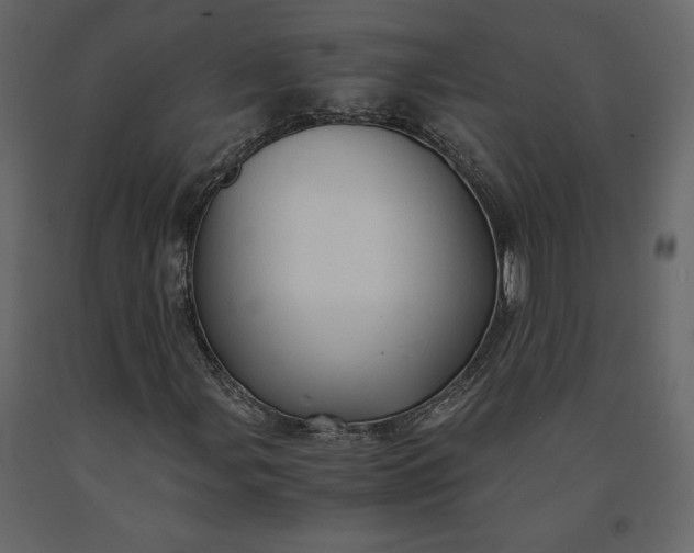 X0000091241107200708231711