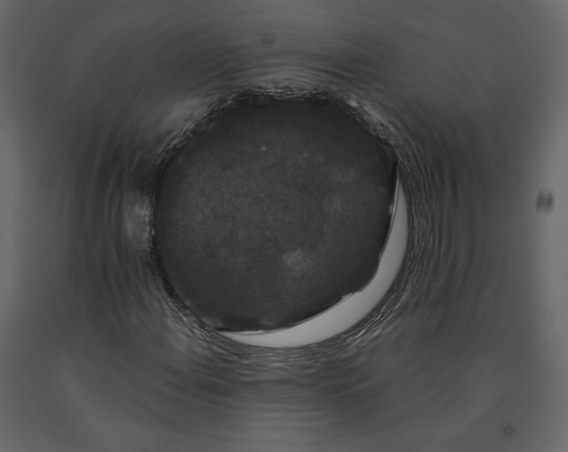 X0000091241108200708231711