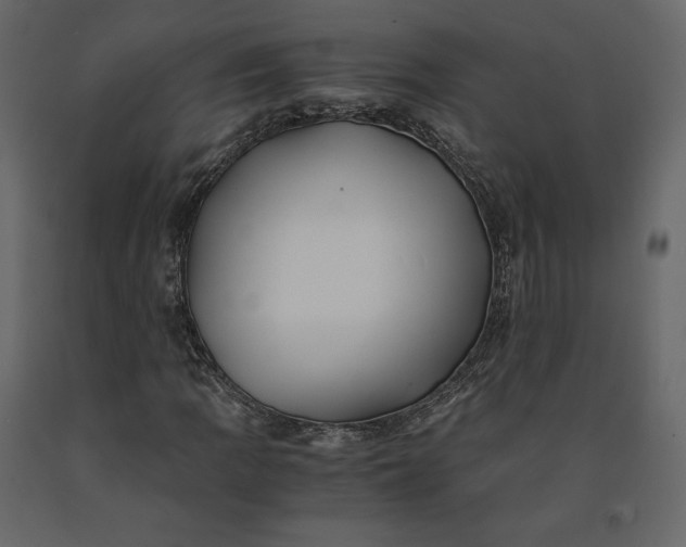 X0000091241109200708231711