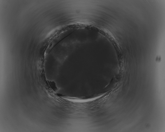 X0000091241110200708231711