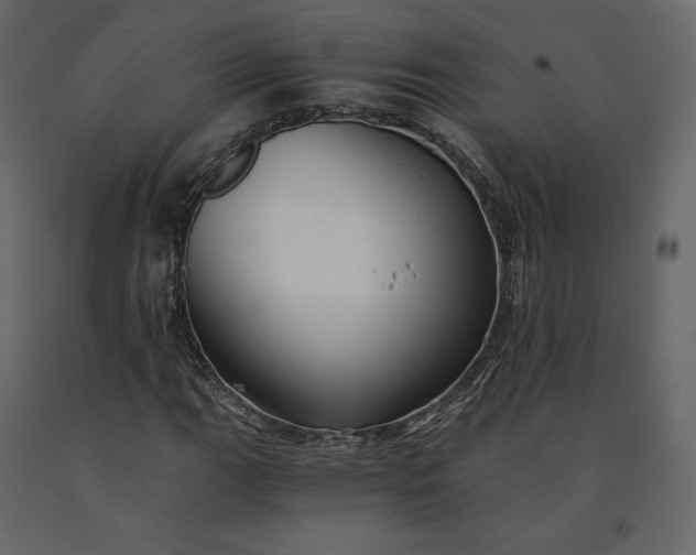 X0000091241111200708231711