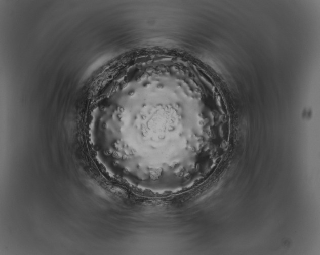 X0000091241112200708231711
