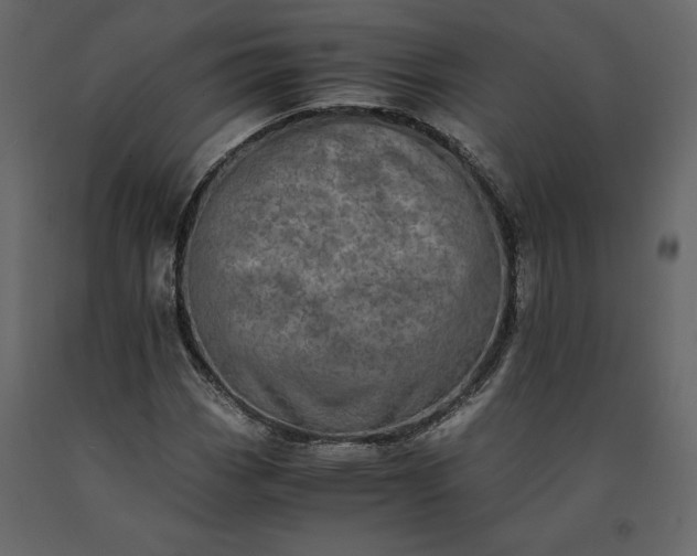 X0000091241113200708231711