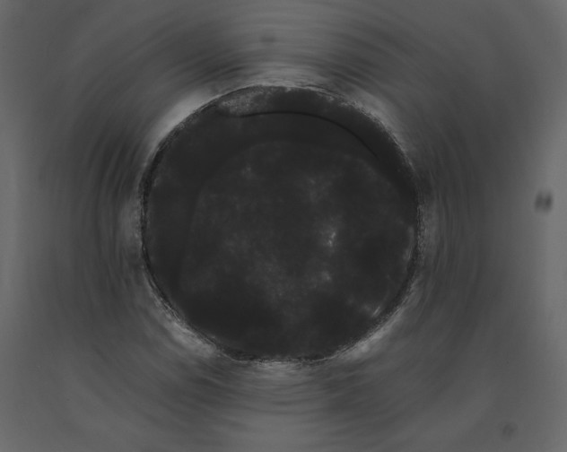 X0000091241114200708231711