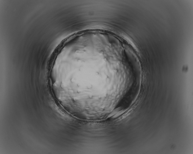 X0000091241116200708231711