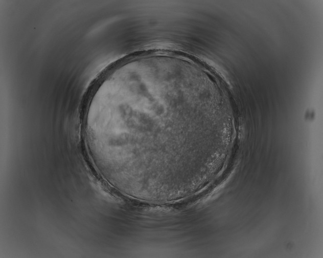X0000091241117200708231711