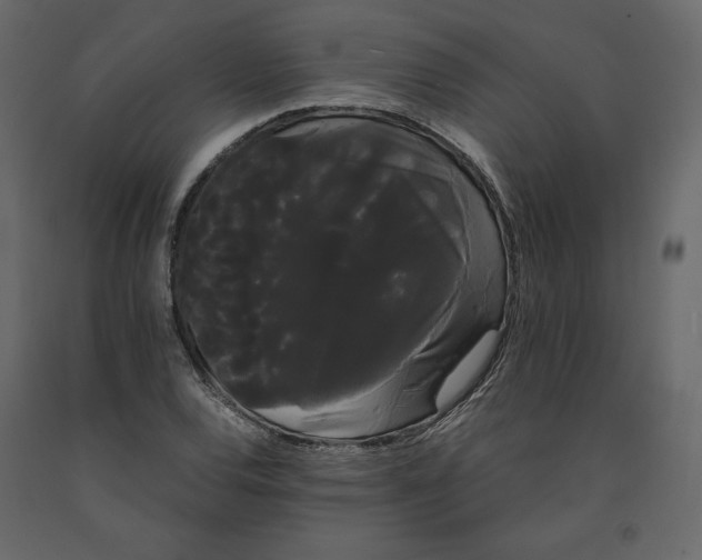X0000091241120200708231711