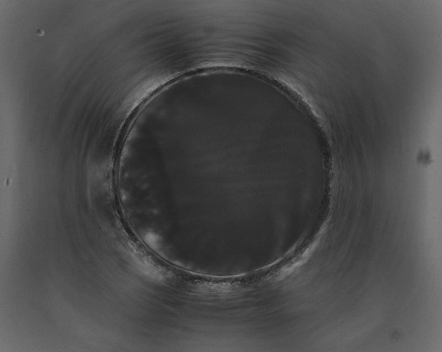 X0000091241121200708231711