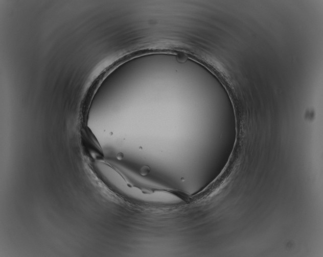 X0000091241122200708231711