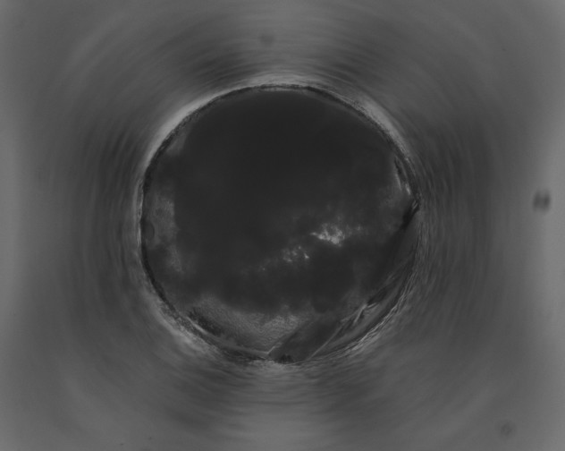 X0000091241124200708231711