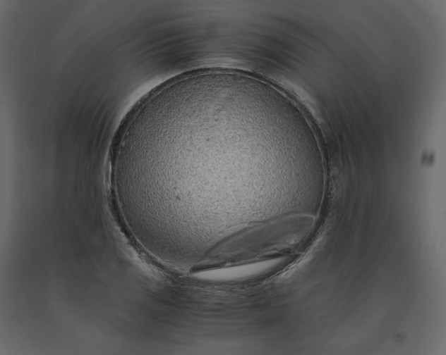 X0000091241125200708231711