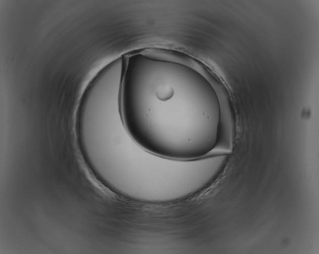 X0000091241128200708231711