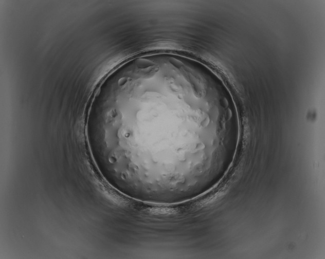 X0000091241129200708231711