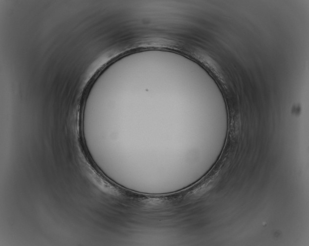 X0000091241130200708231711