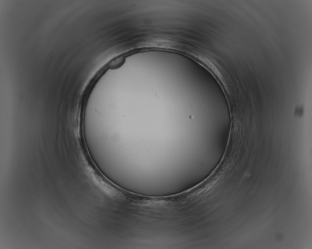 X0000091241131200708231711