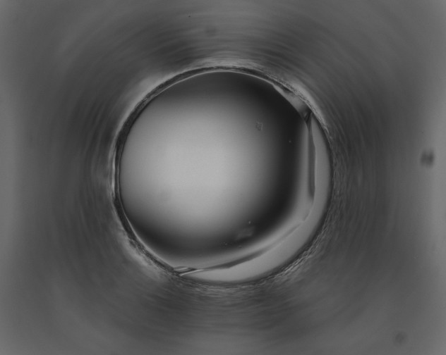X0000091241132200708231711
