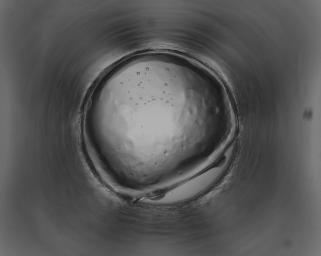 X0000091241133200708231711