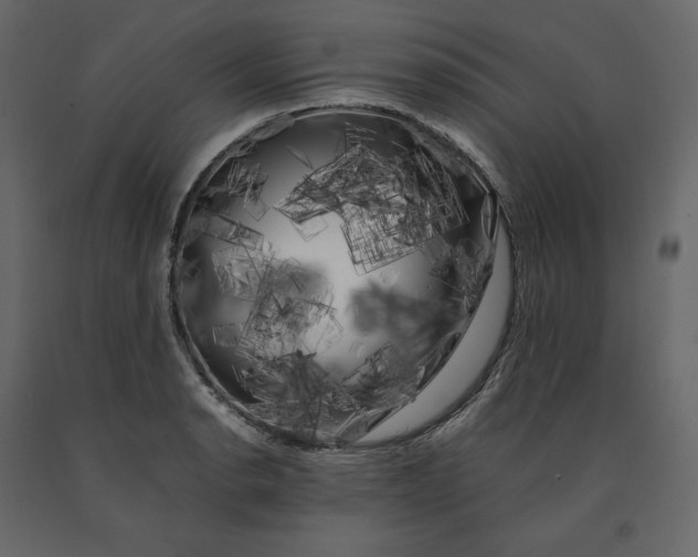 X0000091241134200708231711