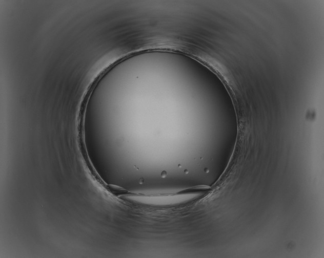 X0000091241135200708231711