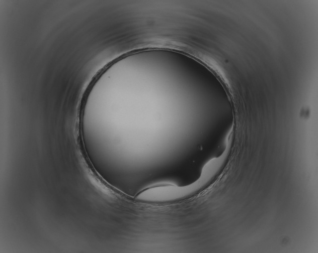 X0000091241136200708231711