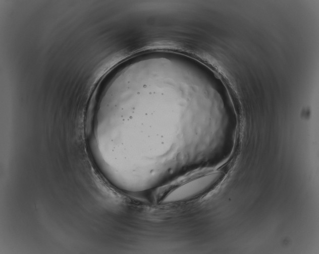 X0000091241137200708231711