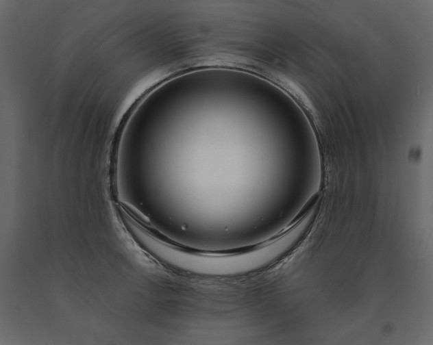 X0000091241138200708231711