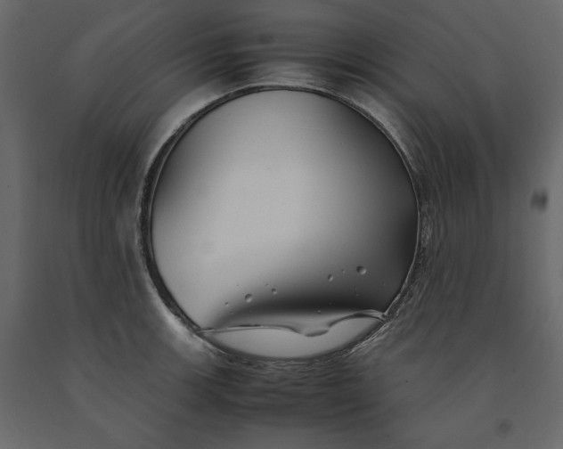 X0000091241139200708231711