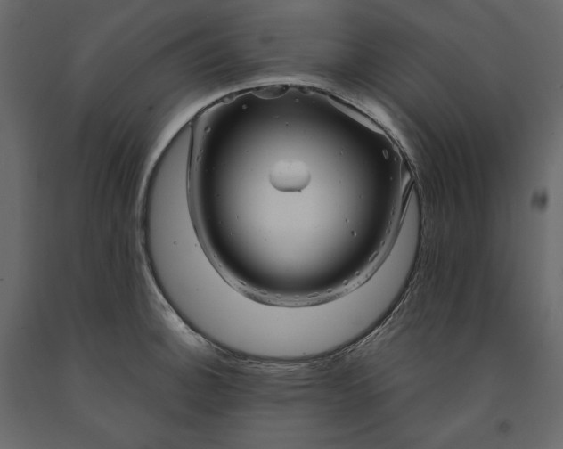 X0000091241140200708231711