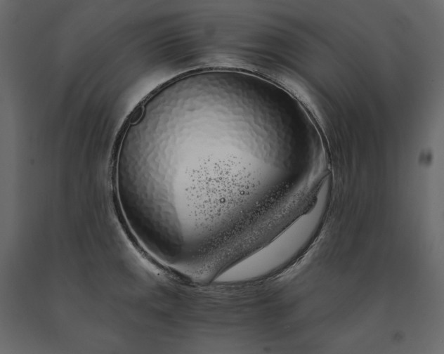 X0000091241141200708231711