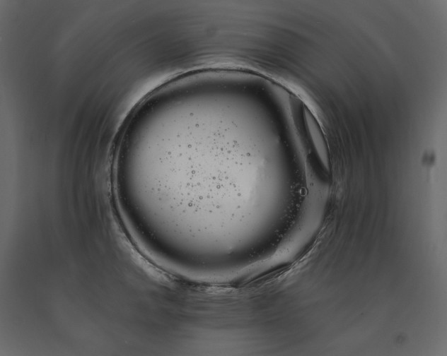 X0000091241142200708231711