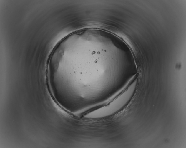 X0000091241143200708231711