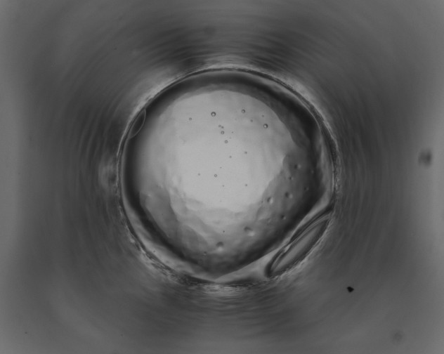 X0000091241145200708231711
