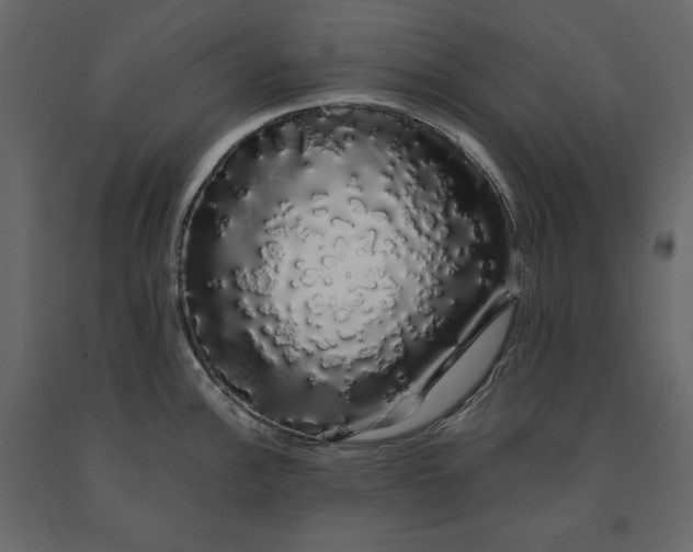 X0000091241148200708231711
