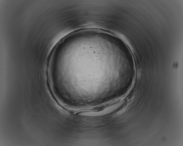 X0000091241149200708231711