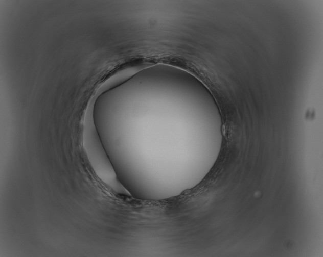 X0000091241153200708231711
