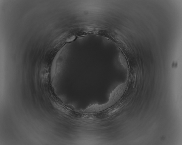 X0000091241154200708231711