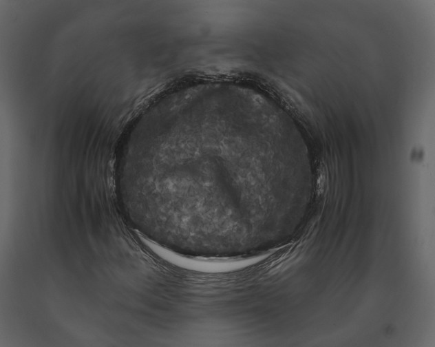X0000091241156200708231711