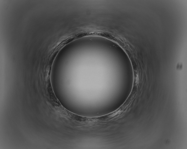 X0000091241157200708231711