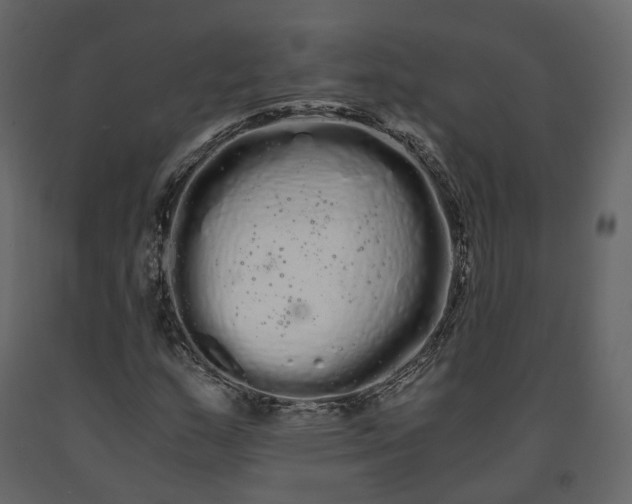 X0000091241159200708231711